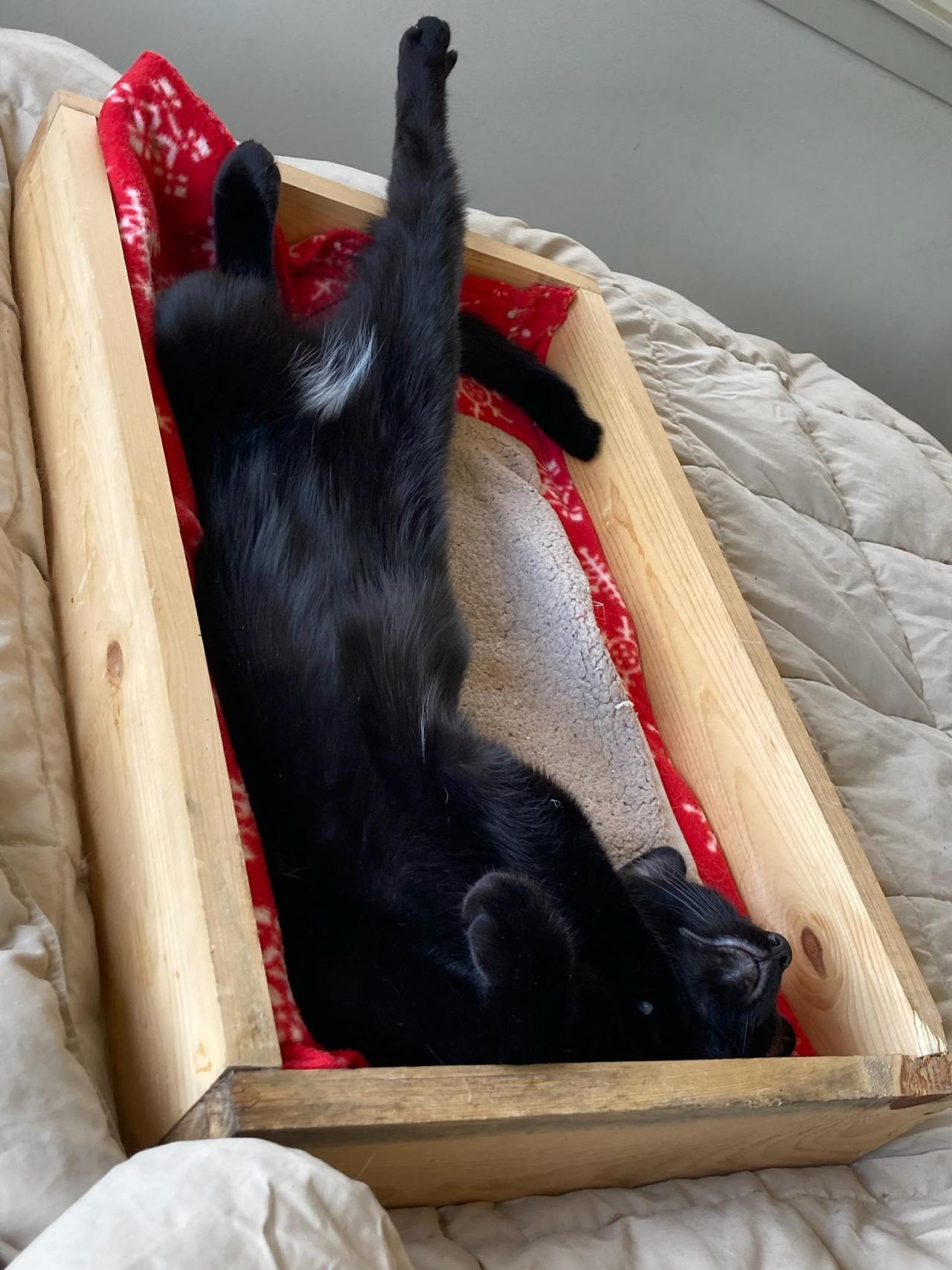 Armie sleeping