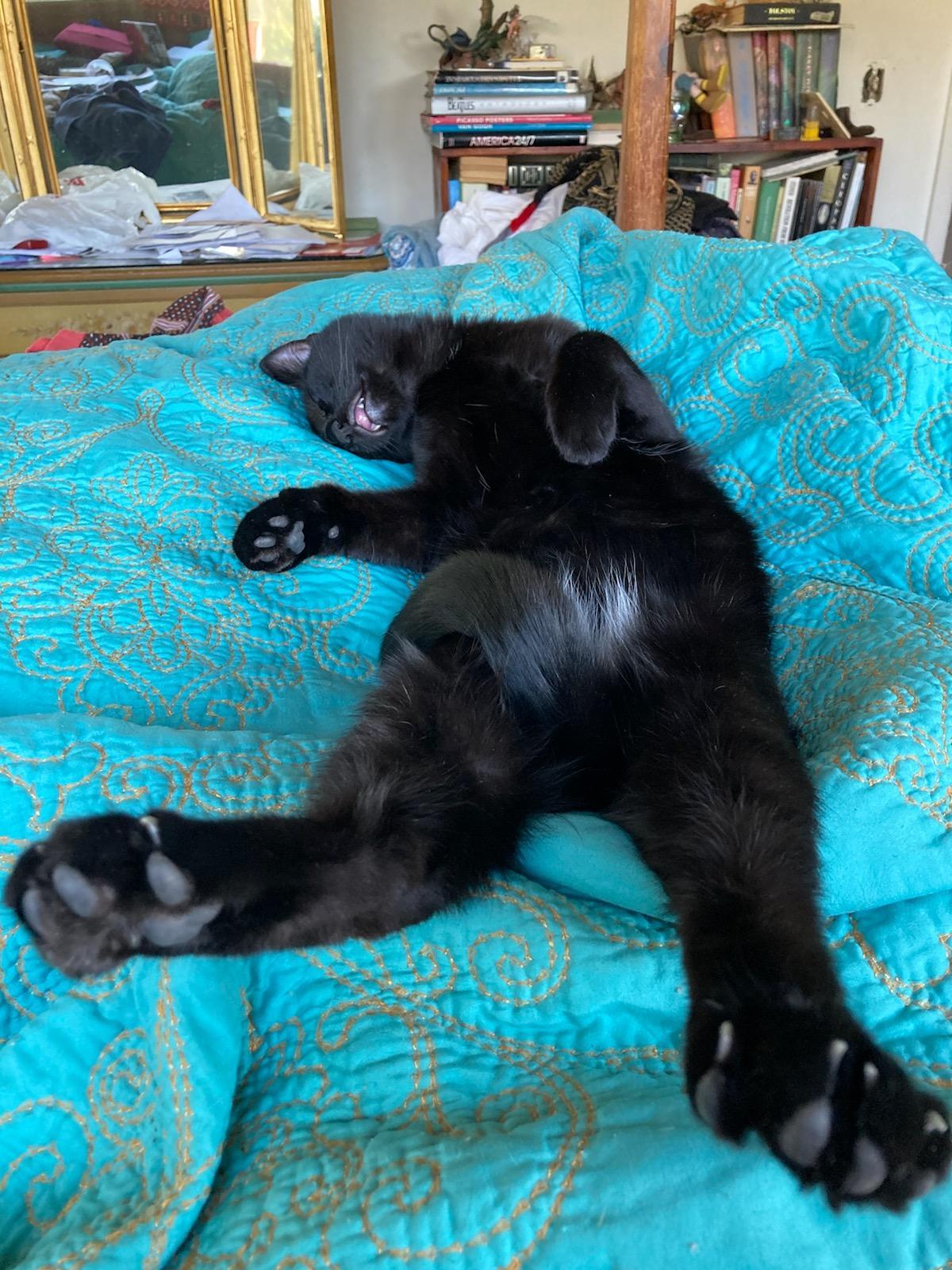 Armie sprawled out