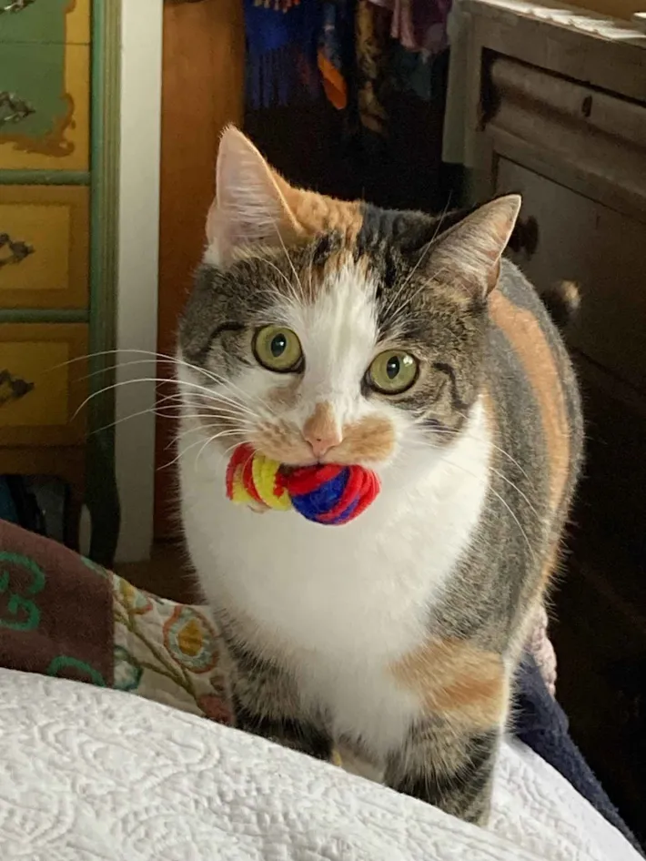 Shpink with her favorite pipecleaners